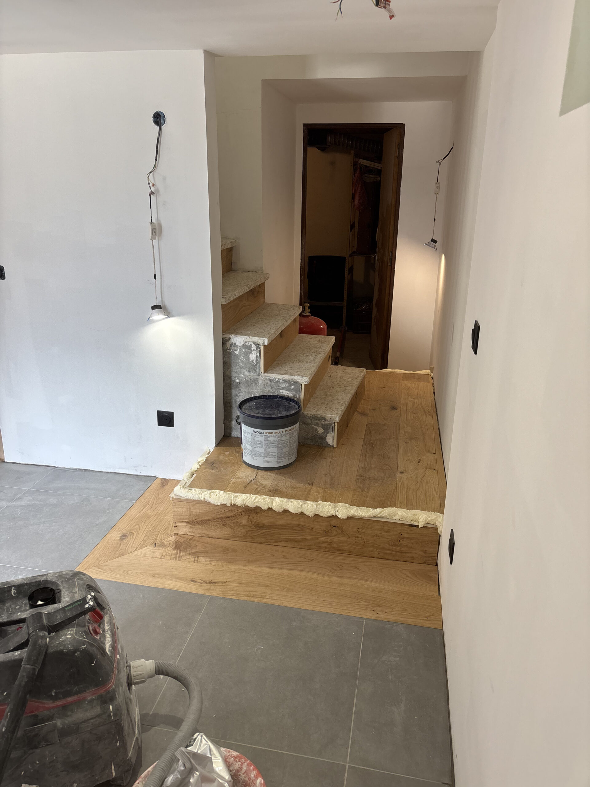 Projet Prelle - entrée et escalier - photo 8